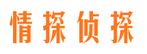 麦盖提市侦探调查公司